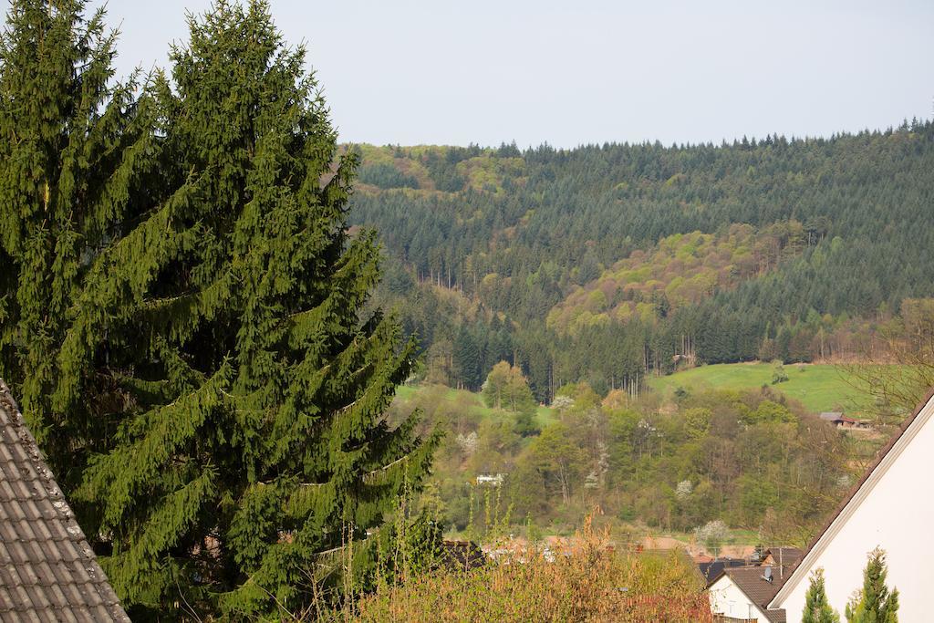 Schoene Aussicht Seelbach (Baden-Wurttemberg)